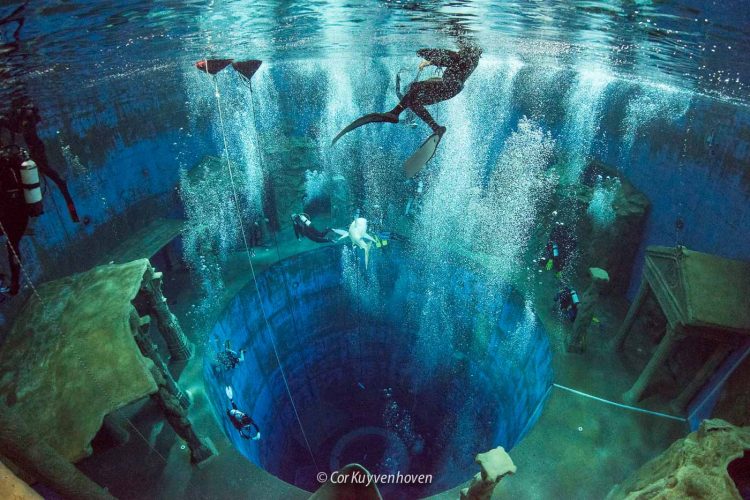 Dive4life-freediving