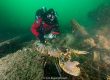 Duiker-kreeft-noordzee-Ghost diving