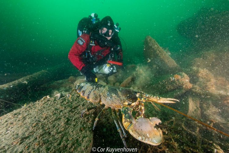 Duiker-kreeft-noordzee-Ghost diving