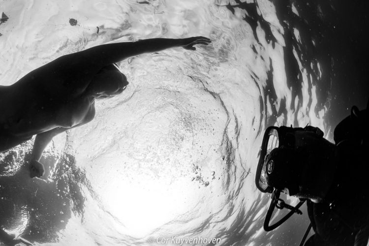 Naakte vrouw-onderwaterfotografie-cor kuyvenhoven