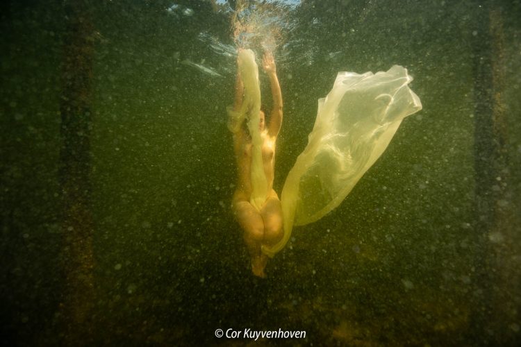 Artistiek naakt onder water