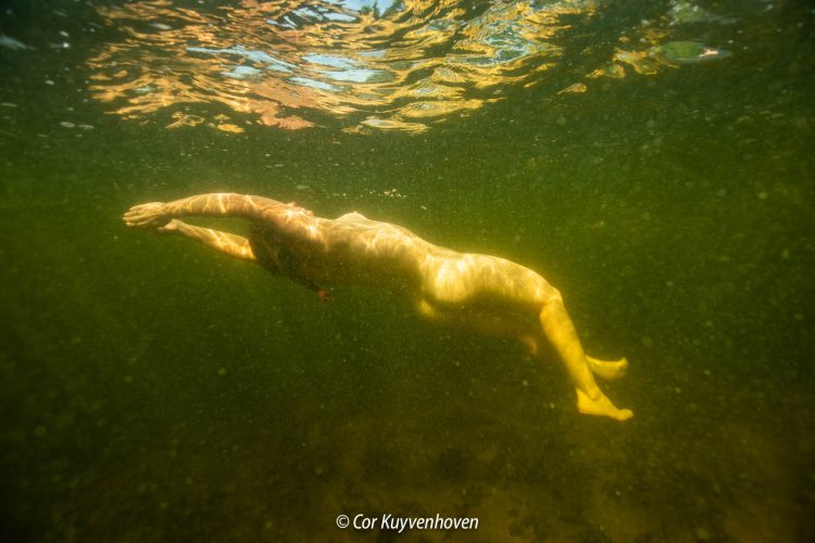 Artistiek naakt onderwater